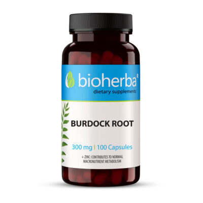 Корен от репей 300 мг x 100 капсули, Burdock Root